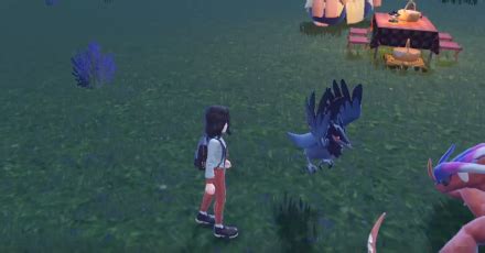 List of Glitches and Exploits: How to Do and Benefits .